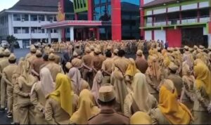 WhatsApp Image 2026-04-09 at 15.31.23